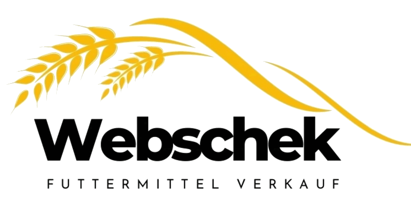 Sponsor